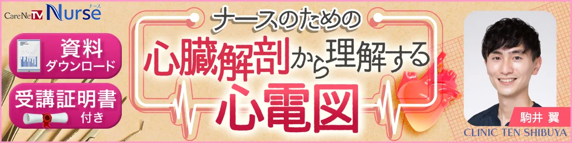 ナースのための心臓解剖から理解する心電図