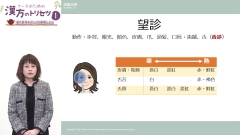 ナースのための漢方のトリセツ1|漢方医学の特徴と、看護師でもできる診察法 ナースのための漢方のトリセツ1|漢方医学の特徴と、看護師でもできる診察法