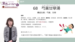 ナースのための漢方のトリセツ2|婦人科の頻用処方/気力や体力の不足を補う補剤 ナースのための漢方のトリセツ2|婦人科の頻用処方/気力や体力の不足を補う補剤