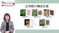 ナースのための漢方のトリセツ2|便秘に対する処方/胃腸炎に対する処方