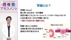 ナースのための腎機能アセスメント|腎臓の働きと評価 ナースのための腎機能アセスメント|腎臓の働きと評価