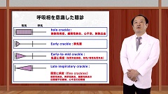Dr.皿谷の肺音聴取道場（全10回）|第6回　中葉・舌区で聴こえる音
