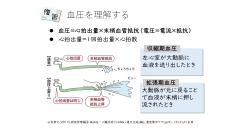 【リアタイ配信】薬剤師・看護師のための基礎から学ぶ心電図セミナー|第4回　心電図を看護ケアに活かす3つのコツ（看護師向け）