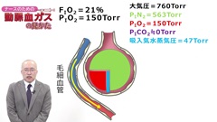 ナースのための動脈血ガスの見かた|A-aDO2について