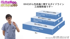 ナースのためのがん性疼痛ケアとオピオイドの使い方|WHOのがん性疼痛マニュアルと、それに基づく鎮痛薬の使い方