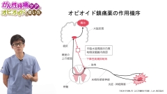 ナースのためのがん性疼痛ケアとオピオイドの使い方|オピオイド鎮痛薬の基本と副作用