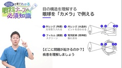 60分で見てわかる眼科ナースの必須知識|Step1：眼の構造（正常）を理解する