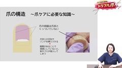 ナースのためのトラブル爪ケア|爪の解剖