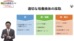 ナースのための頻出抗菌薬ガイド　投与開始までのステップと看護ケア|検体採取のポイント