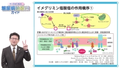 ナースのための糖尿病治療薬ガイド|その他の経口薬