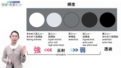 ナースのための膀胱・直腸エコー|看護師が最低限知っておきたいエコーの基本