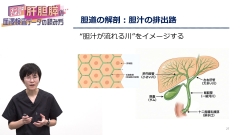 ナースのための肝胆膵の血液検査データの読み方|胆道