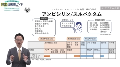 【資料・受講証明書付き】ナースのための頻出抗菌薬ガイド　必修！10薬剤の特徴と注意点|【資料・受講証明書付き】ナースのための頻出抗菌薬ガイド　必修！10薬剤の特徴と注意点