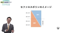 ナースのための頻出抗菌薬ガイド　必修！10薬剤の特徴と注意点|頻出抗菌薬10選-セフェム系-