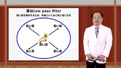 【受講証明書付き】Dr.皿谷の肺音聴取道場（全10回）|第2回　呼吸音伝達の仕組み