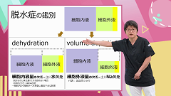 【受講証明書付き】研修医のための栄養・輸液（全10回）|第6回　輸液の常識
