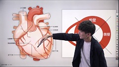 【受講証明書付き】Dr.翼の心電図検定3級合格ポイント塾（全10回）|第10回　心筋梗塞