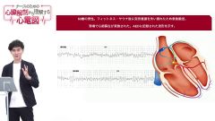 心臓の基本的な解剖