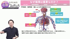 ナースのための循環のエッセンス|血圧について