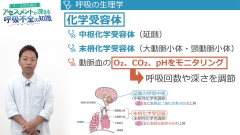 ナースのためのアセスメントが深まる呼吸不全の知識|呼吸器の解剖と酸素化の評価