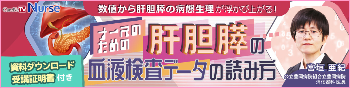 【資料・受講証明書付き】ナースのための肝胆膵の血液検査データの読み方