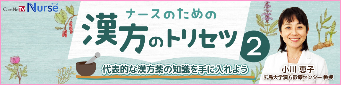 ナースのための漢方のトリセツ2