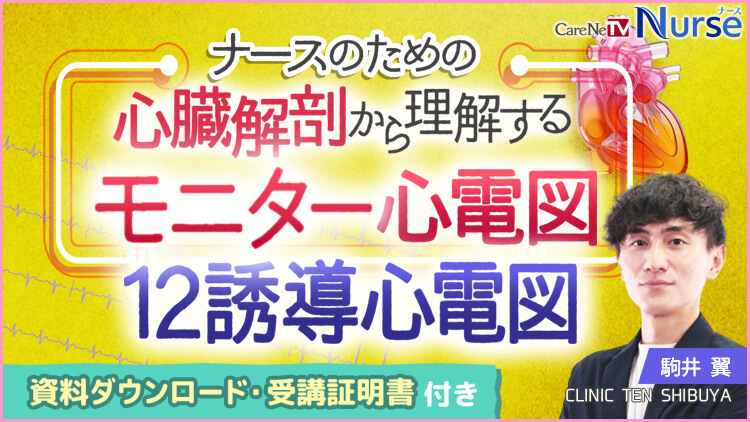【資料・受講証明書付き】ナースのための心臓解剖から理解するモニター心電図・12誘導心電図