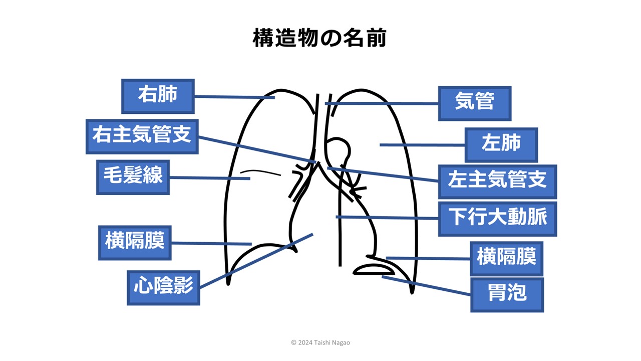 【資料・受講証明書付き】ナースのための胸部X線の読み方＆画像クイズ