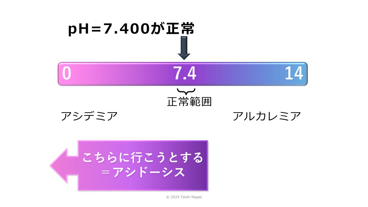 ナースのための動脈血ガスの見かた