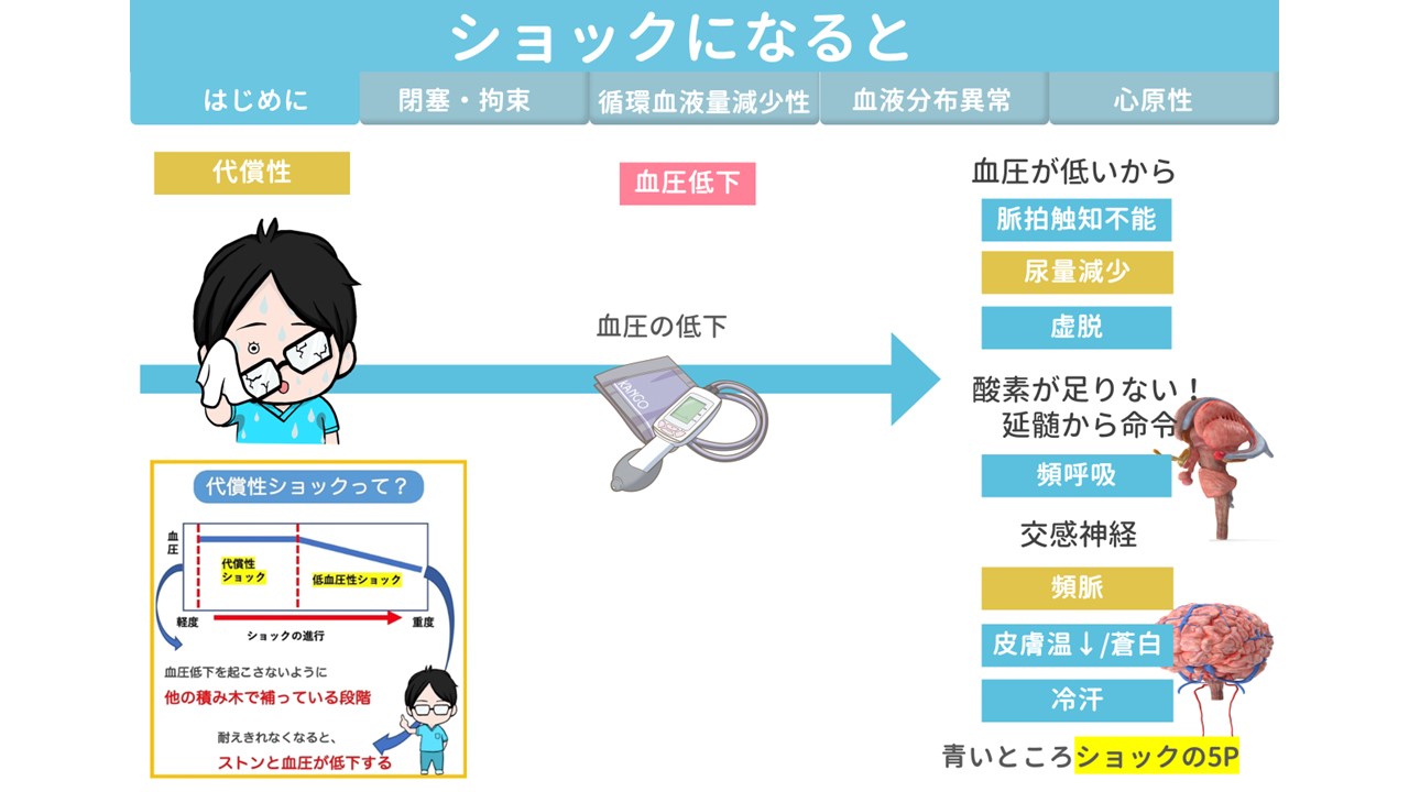 【資料・受講証明書付き】ナースのための循環のエッセンス