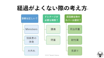 ナースのための頻出抗菌薬ガイド　投与開始までのステップと看護ケア