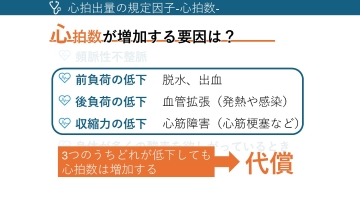 【資料・受講証明書付き】ナースのためのアセスメントが深まる心不全の知識