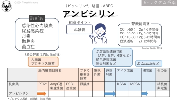 ナースのための頻出抗菌薬ガイド　必修！10薬剤の特徴と注意点