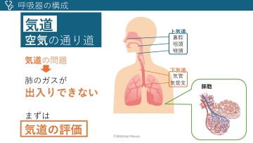 【資料・受講証明書付き】ナースのためのアセスメントが深まる呼吸不全の知識