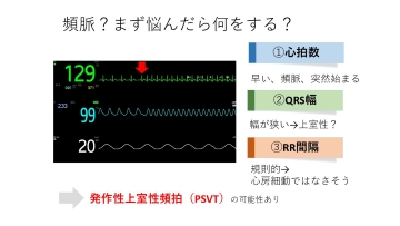 【資料・受講証明書付き】心電図検定4級対策　薬剤師・看護師のための基礎から学ぶ心電図セミナー